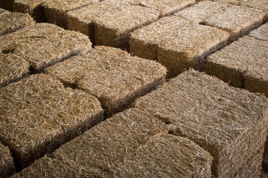 Stacked bales of Miscanthus