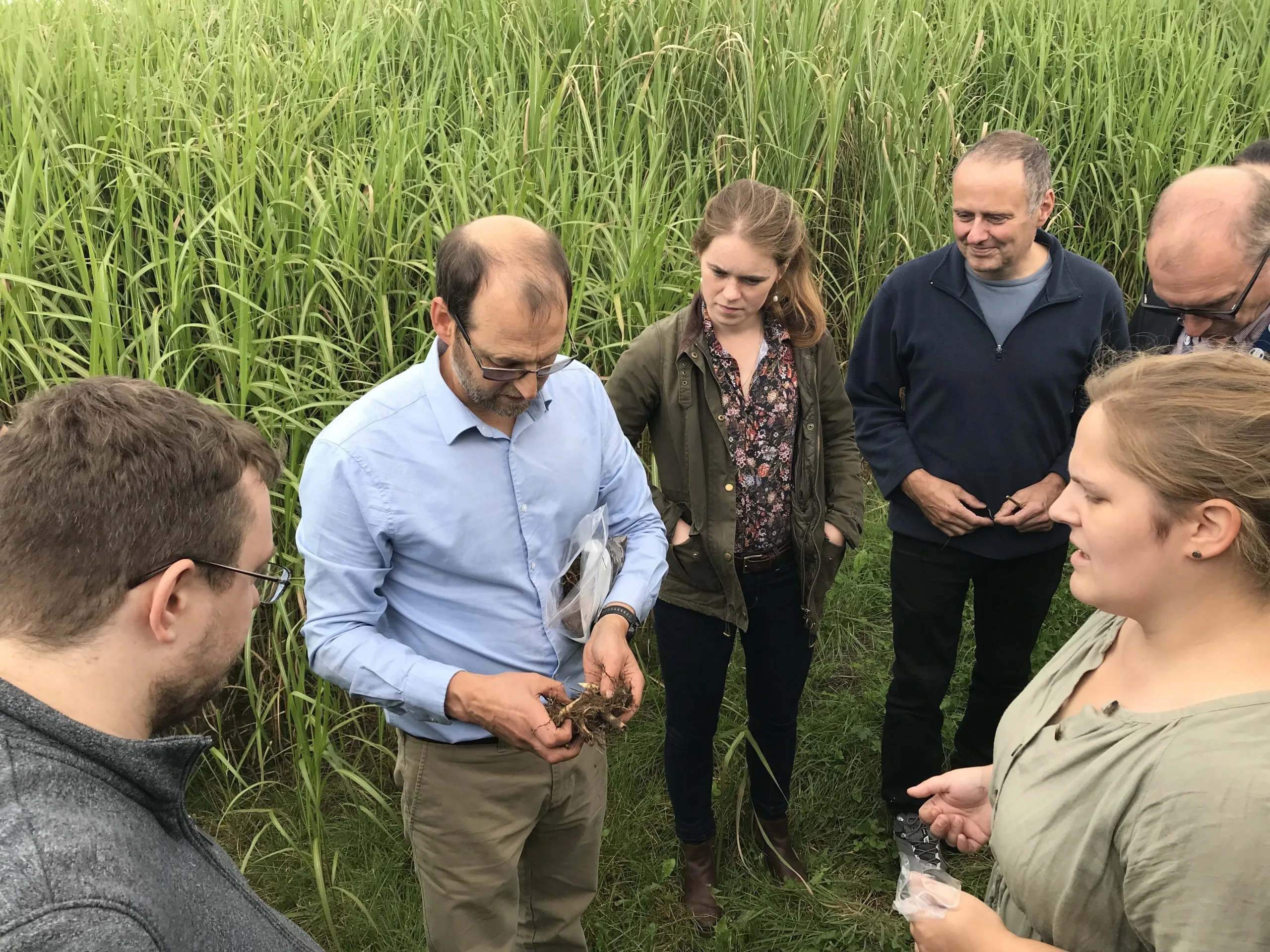 Field Reshearch Field research technician wanted - terravesta.com