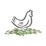 Miscanthus produces a circular biomass