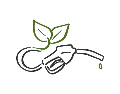 Fuels made from Miscanthus biomass