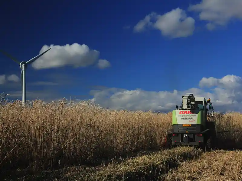 bio-energy-terravesta