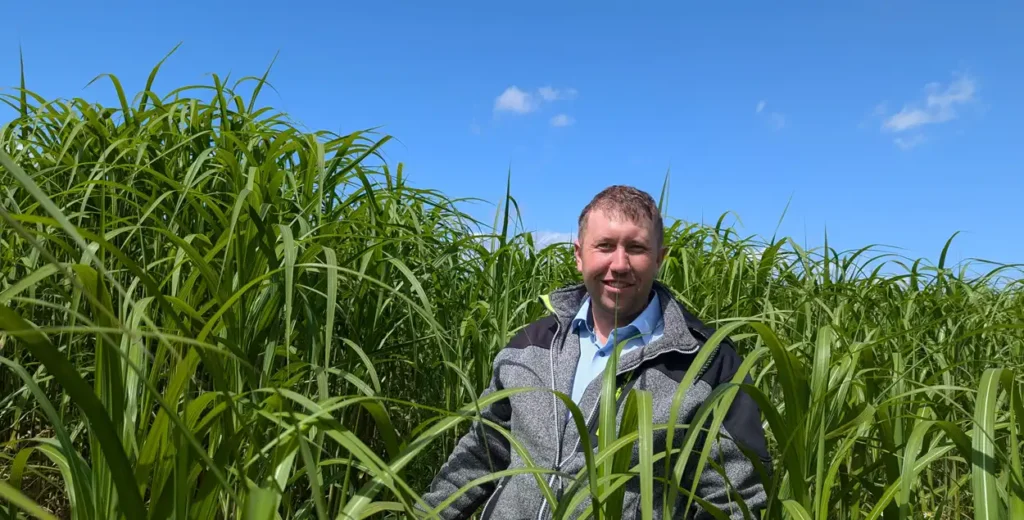 Jacob Nielsen, island of Fyn, Denmark Miscanthus farmer June 2024