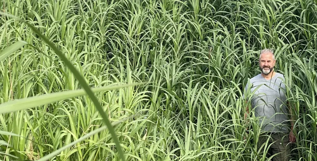 Bauke van der Veen - Elothis Europe BV, Dealin.Green