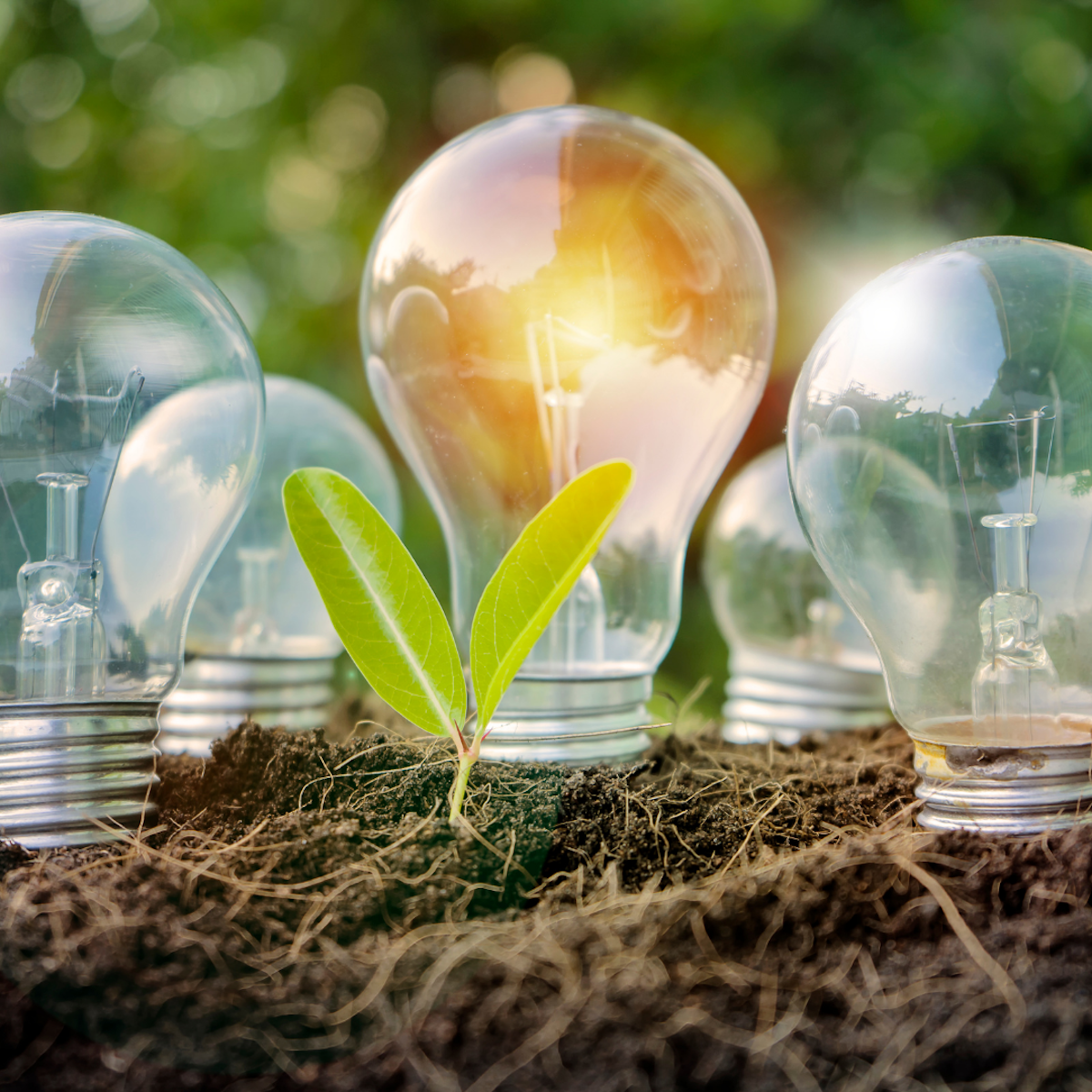 Renewable electricity