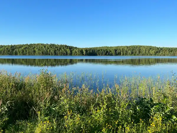 Lake and trees
