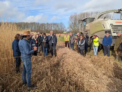 Farm walk and Miscanthus open days
