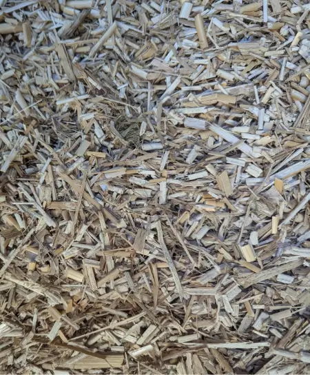 Chipped and dedusted miscanthus biomass 